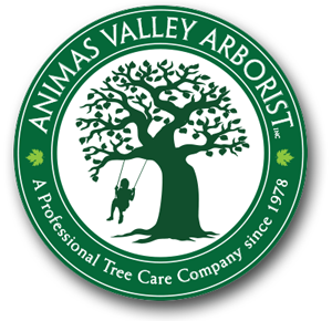 Animas Valley Arborist 