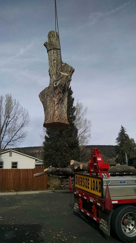 12341254_952798751480461_947619714137128572_n